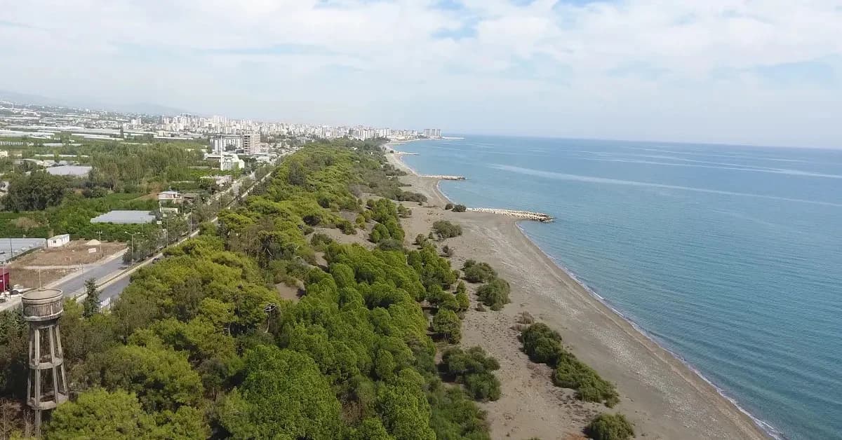 Talat Göktepe Tabiat Parkı (Çamlık)