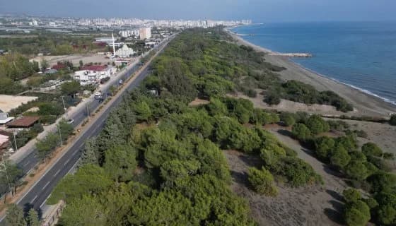 Çamlık 2. Etap Ekolojik Kamping Projesi