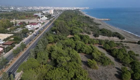 Çamlık 2. Etap Ekolojik Kamping Projesi