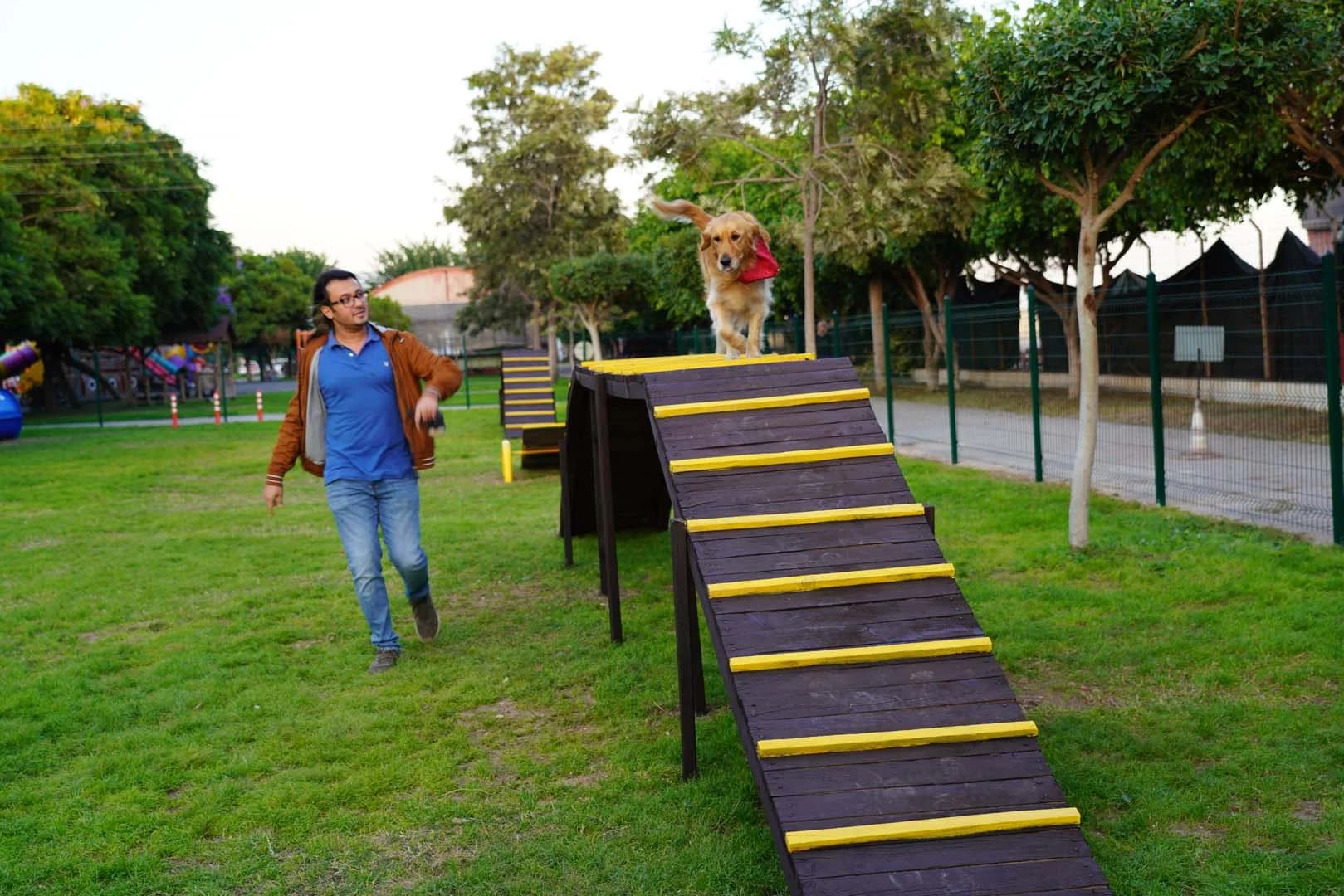 Pati Park Projesi Fotoğrafı