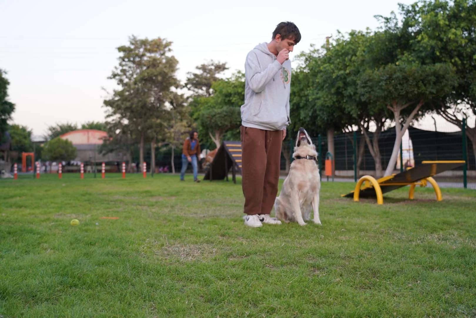 Pati Park Projesi Fotoğrafı