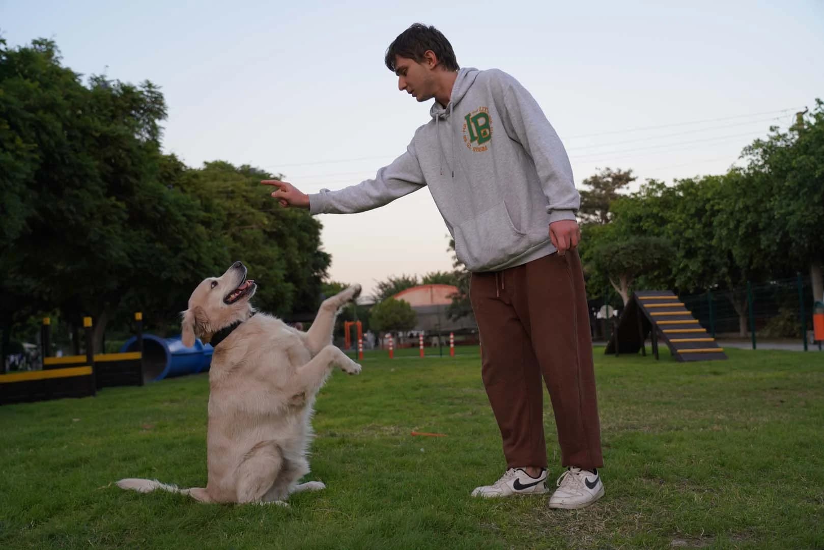 Pati Park Projesi Fotoğrafı