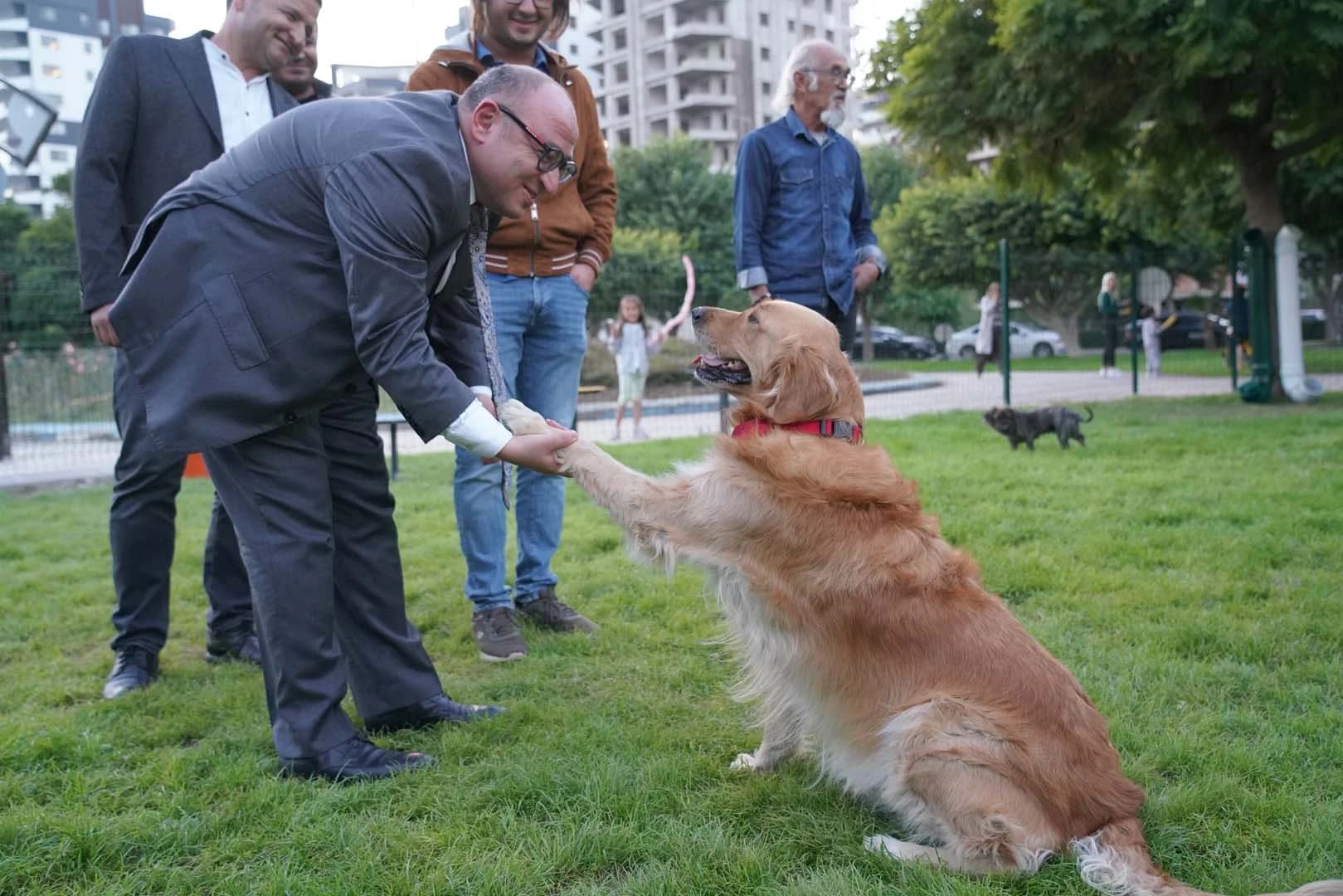 Pati Park Projesi Fotoğrafı