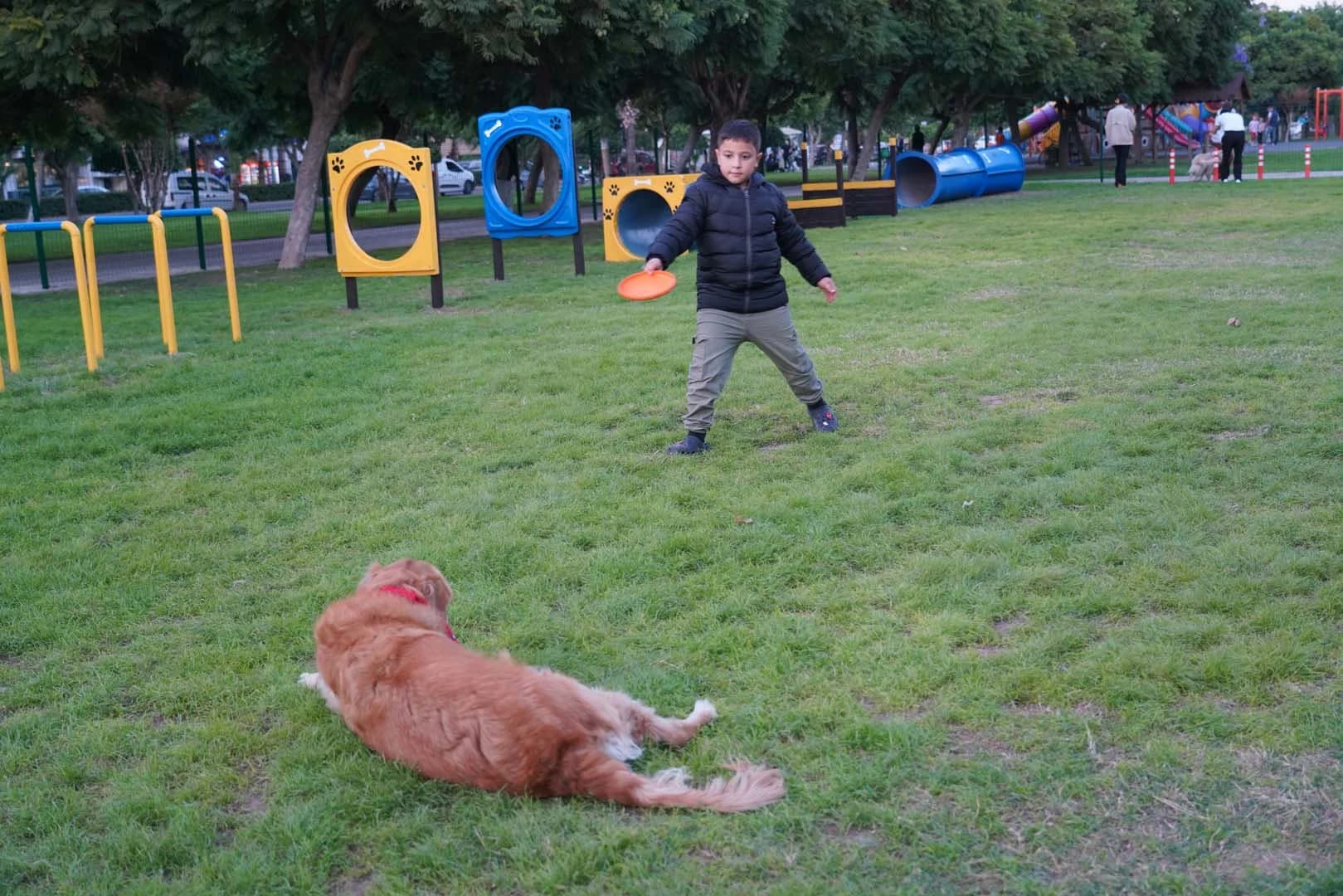 Pati Park Projesi Fotoğrafı