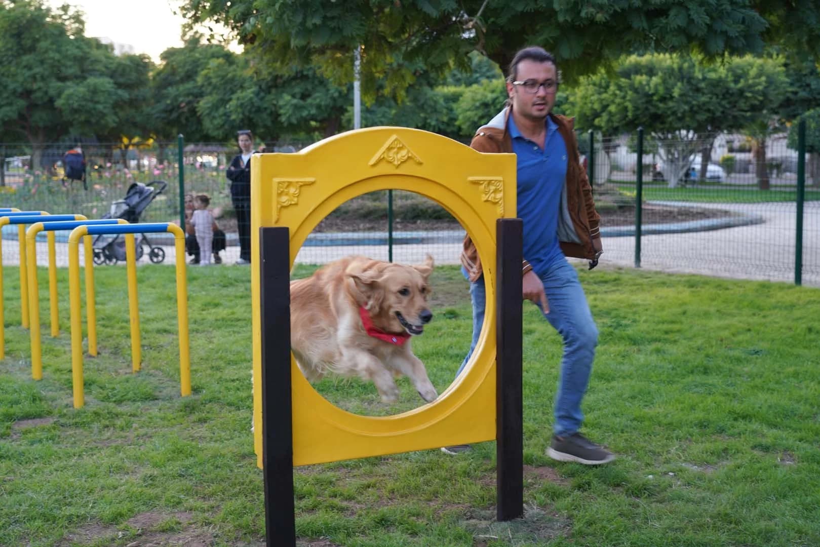 Pati Park Projesi Fotoğrafı