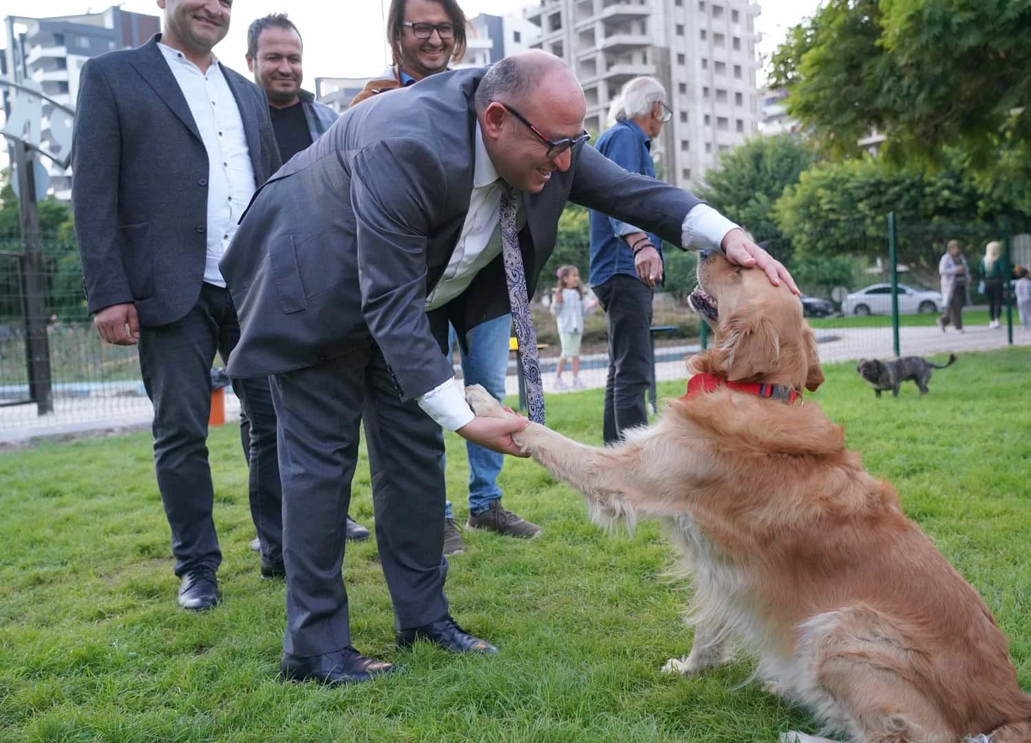 Pati Park Projesi Fotoğrafı